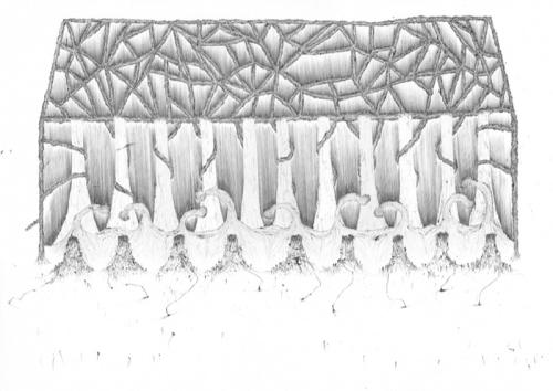 Paper Gallery: Simon Woolham, The Wood, biro on paper, 42.0 x 59.4cm, 2010.