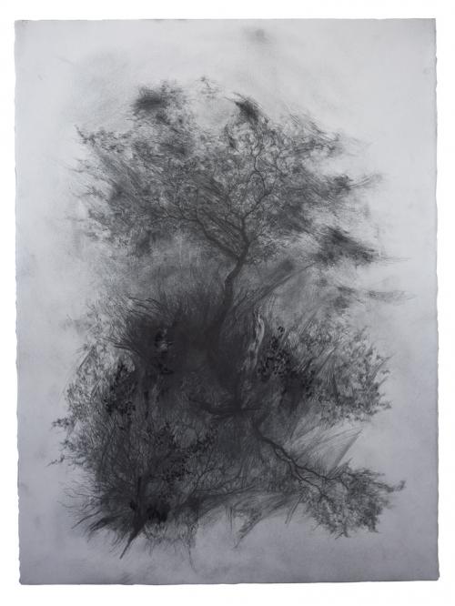DMW Art Space: Joris Vanpoucke, Appearance, Graphite on paper, 76 x 57cm, 2018.