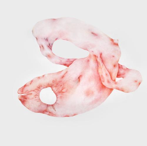 Tatiana Wolska, Hyperballad, 2023 © photo Amélie Bataille, Courtesy Irène Laub gallery and l'étrangère